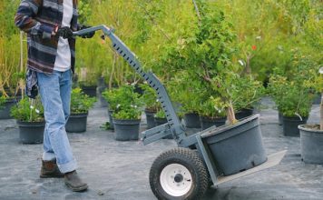 Découvrez les créations paysagères uniques à Tarbes