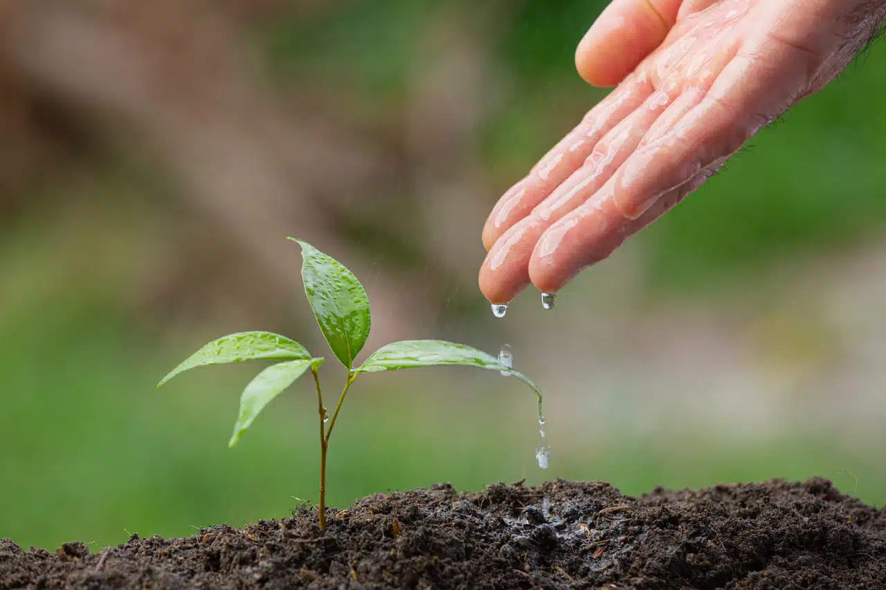 Découvrez les avantages de l'agriculture biologique