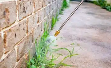 Fabriquer son désherbant éco-responsable : l’efficacité du mélange vinaigre, sel et produit vaisselle Fabriquer son désherbant éco-responsable l'efficacité du mélange vinaigre, sel et produit vaisselle