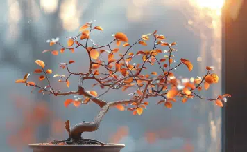 Pourquoi mon bonsaï perd-il ses feuilles ? Causes et solutions