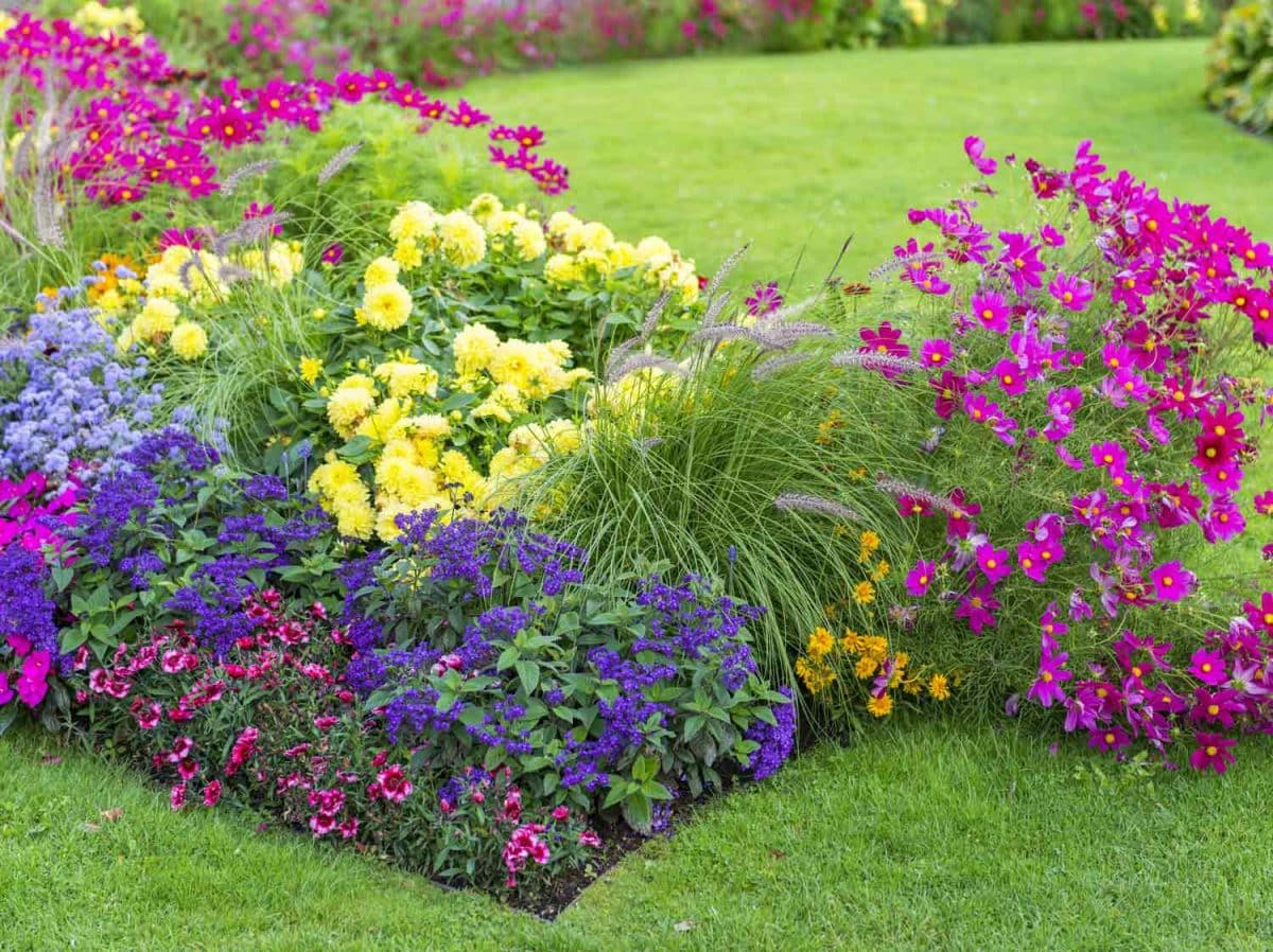 planter des massifs de fleurs  