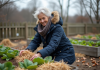 Couvert végétal hiver potager : astuces efficaces pour protéger vos cultures Femme âgée en jardin d'hiver avec paillage naturel