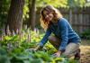 Fleurs : quelles variétés s’épanouissent à l’ombre ? Femme dans son jardin touchant des hostas verts