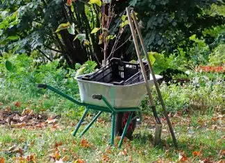 Quels outils sont nécessaires pour entretenir un gazon