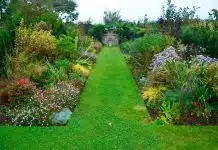 planter des massifs de fleurs