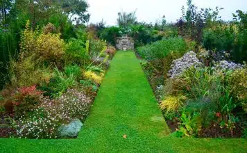 planter des massifs de fleurs