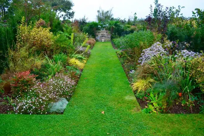 planter des massifs de fleurs