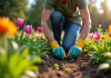 Jardinier en gants arrachant des mauvaises herbes dans un parterre fleuri