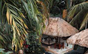 Découvrez vos options de piscine coque à nice dès aujourd’hui